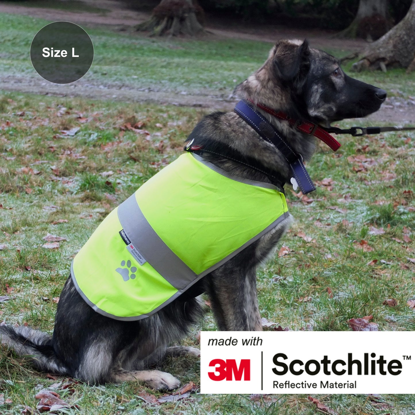 Dogs Vest