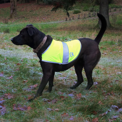 Dogs Vest